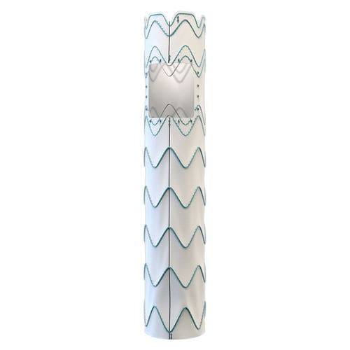 Stent-injerto arco aórtico - Relay® Multi Feature - Terumo Aortic - de nitinol / de ePTFE