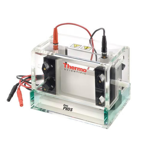 Cubeta de electroforesis vertical - Owl™ Dual - Thermo Scientific