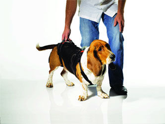 Arnés de rehabilitación - Help'EmUp  - OrthoPets Europe - veterinario