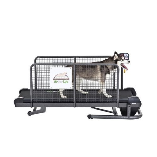 Cinta de correr veterinaria para perros - Medium - Fit Fur Life Ltd