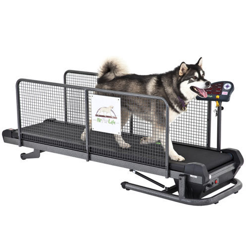 Cinta de correr veterinaria para perros - Superior - Fit Fur Life Ltd