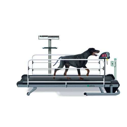 Cinta de correr veterinaria para perros - CanidGait Fit Fur Life  - Fit Fur Life Ltd - de velocidad ajustable / con barreras laterales ajustables