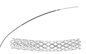 Stent arteria coronaria - Cygnus II - Arthesys - de cromo cobalto
