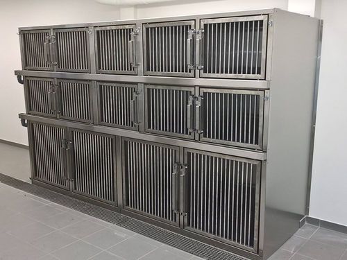 Jaula veterinaria modular - Gtebel - con ruedas / de acero inoxidable