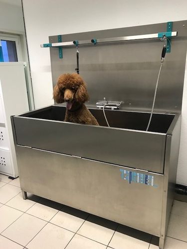 Bañera veterinaria de suelo - Gtebel