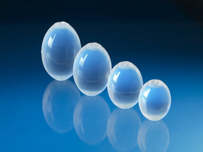 Implante testicular - Coloplast - anatómico / salino / de silicona