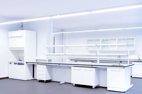 Campana de aspiración química - ENS - Industrial Laborum Iberica - de laboratorio / de flujo laminar