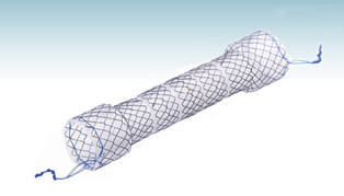 Stent esofágico - HANAROSTENT®BS (CCC) - M.I Tech