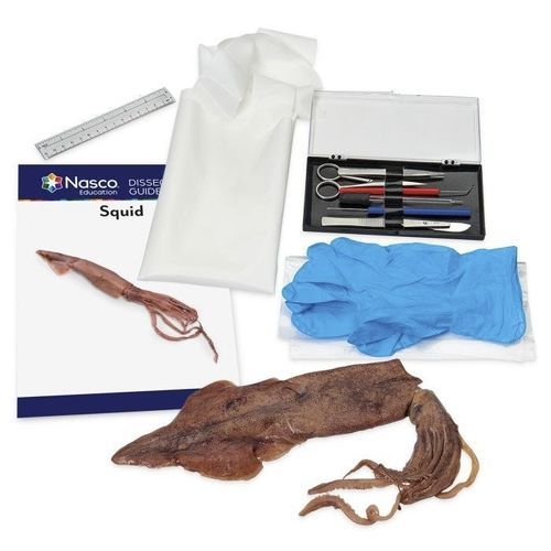 Simulador de disección - NASCOGuard® - Nasco - de anatomía / de kit / de plástico