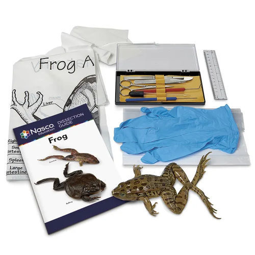 Simulador de disección - LS03850 - Nasco - de anatomía / para atención general / de kit