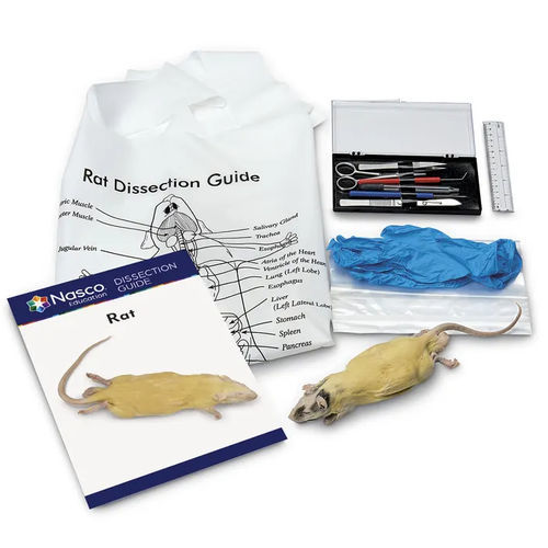 Simulador de disección - LS03848 - Nasco - de anatomía / para atención general / de kit