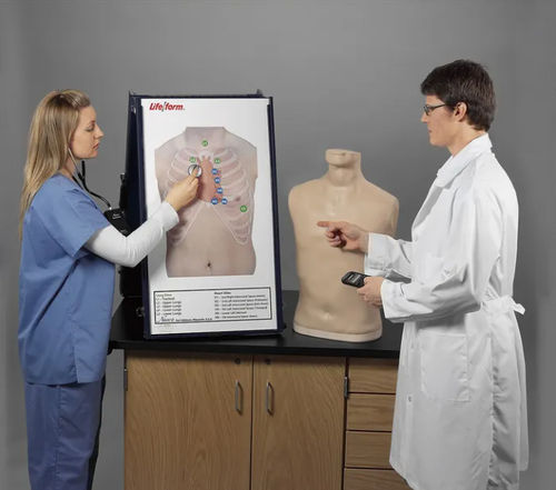 Simulador de auscultación - Life/form®  - Nasco - de formación / para educación sanitaria / de torso