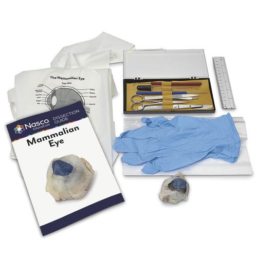Simulador de disección - LS03859 - Nasco - de anatomía / de kit / sin látex