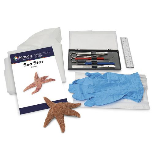Simulador de disección - LS03851 - Nasco - de anatomía / de kit / sin látex