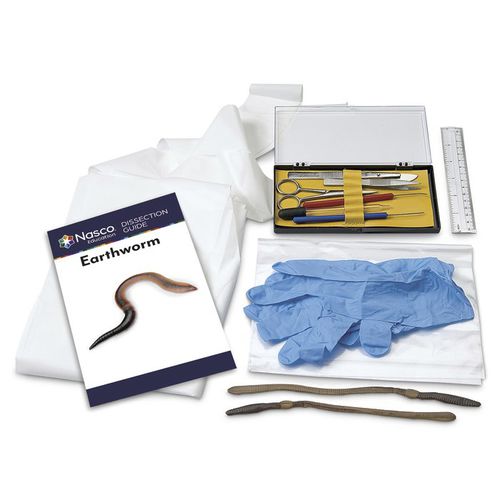 Simulador de disección - LS03853 - Nasco - de anatomía / de kit / sin látex