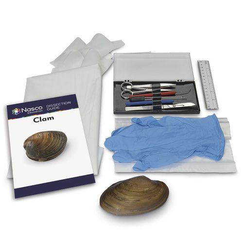 Simulador de disección - LS03861 - Nasco - de anatomía / de kit / sin látex