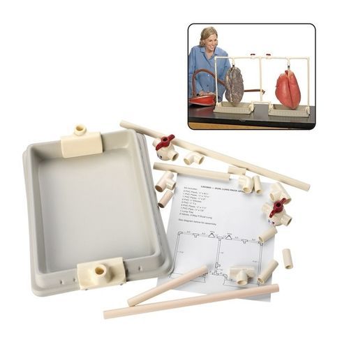 Simulador de demostración - LS03805 - Nasco - de anatomía / de kit / con dos compartimentos