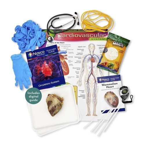 Simulador de disección - SB51906 - Nasco - de anatomía / de kit / de sistema circulatorio