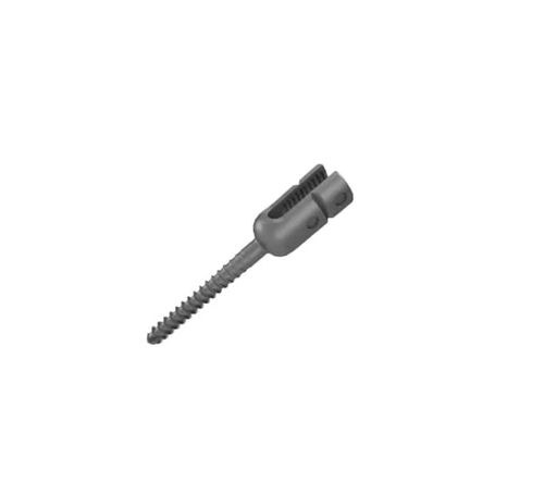 Tornillo pedicular monoaxial - A816 series - Aysam Orthopaedics - de titanio