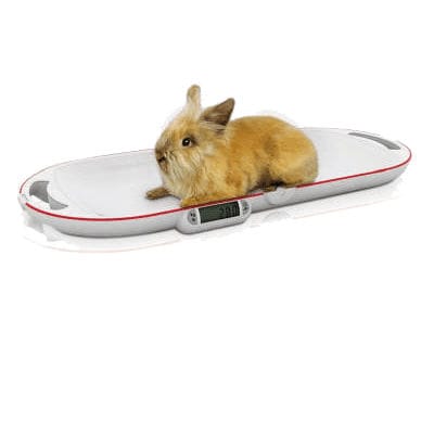 Balanza veterinaria electrónica - SP 8320 - Bosche GmbH & Co.KG - para animales pequeños / de bolsillo / compacta