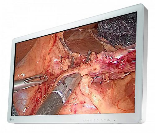 Monitor quirúrgico - CuratOR® EX3220 - EIZO GmbH - médico / para endoscopia / Full HD