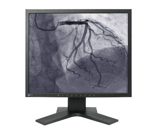 Monitor médico - CuratOR® LS1910 - EIZO GmbH - para sala de operaciones / para imágenes médicas / de diagnóstico