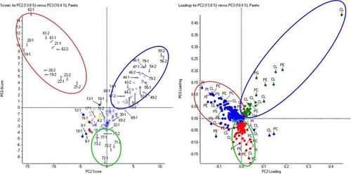 Software para espectrometría de masa - MarkerView™ - SCIEX - de análisis / de visualización / para informes