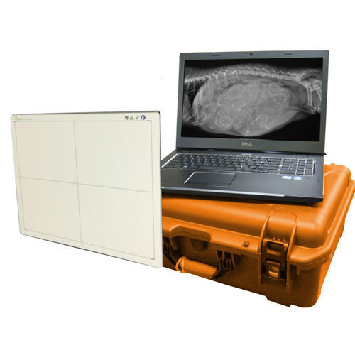 Panel detector plano para radiografía veterinaria - DR Wizard - Diagnostic Imaging Systems - portátil / inalámbrico / 14 x 17