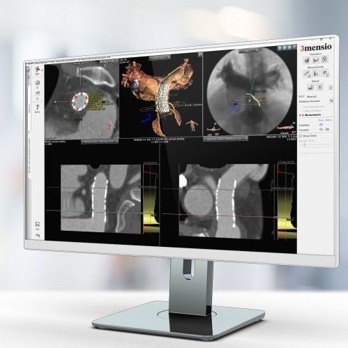 Software para informes - Pie Medical Imaging - de planificación / de tratamiento / de hospital