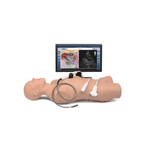 Simulador de paciente para ecocardiografía - Vimedix - Elevate Healthcare - para cuidados cardiopulmonares / de anatomía / para COVID-19