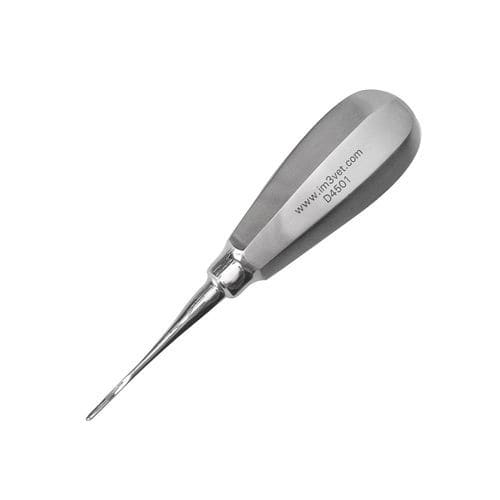 Elevador dental recto - D4501 - iM3 - veterinario