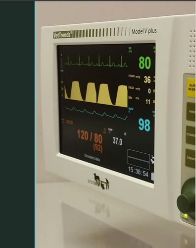 Monitor multiparamétrico veterinario - VetTrends® V plus - SystemVET - compacto / ECG / TEMP