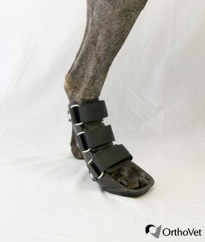 Férula veterinaria de patas - Bootie - OrthoVet - para cánidos