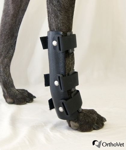Férula veterinaria túnel carpiano - OrthoVet - para cánidos
