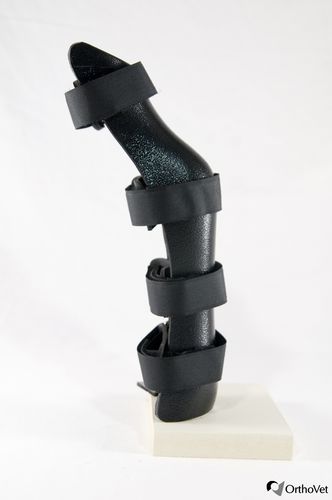Protector articular veterinario ortesis de jarrete - OrthoVet