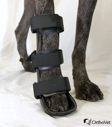 Férula veterinaria de patas - Front - OrthoVet - para cánidos
