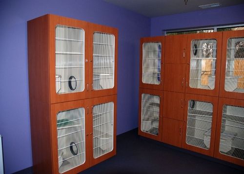Jaula veterinaria para gatos - Raintree™ - Mason - modular