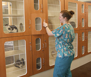 Jaula veterinaria para gatos - Mason - modular / de acero inoxidable