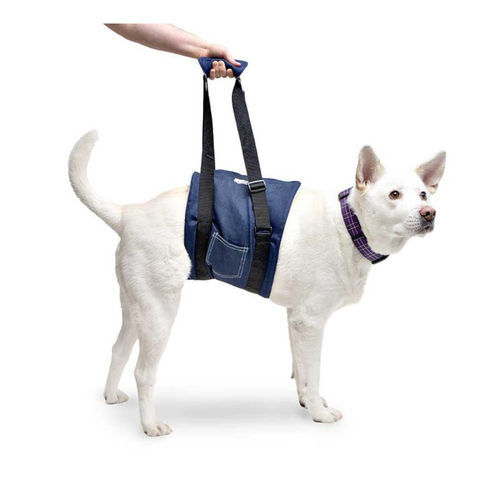 Arnés de marcha - Walkin’ Support - Walkin' Pets - de rehabilitación / de pierna / para perros
