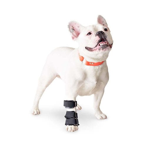 Férula veterinaria de patas - Walkin' Pets - túnel carpiano / para muñeca