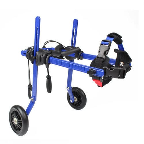 Silla de ruedas veterinaria para perros - Walkin' Wheels® MINI  - Walkin' Pets