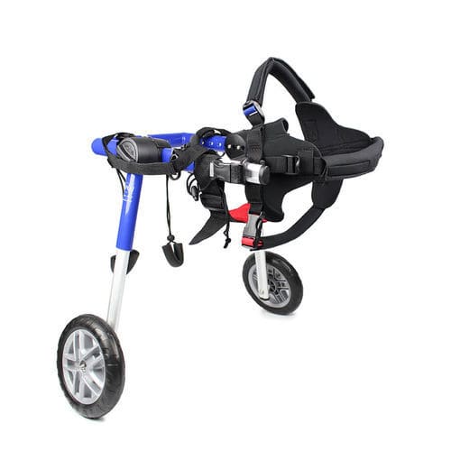 Silla de ruedas veterinaria para perros - Walkin' Wheels® MEDIUM - Walkin' Pets