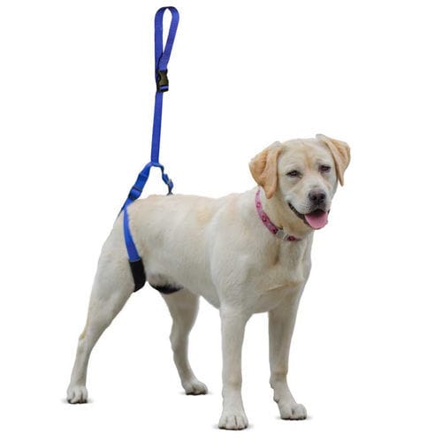 Arnés de marcha - Walkin’ Up-n-Go - Walkin' Pets - de pierna / para perros