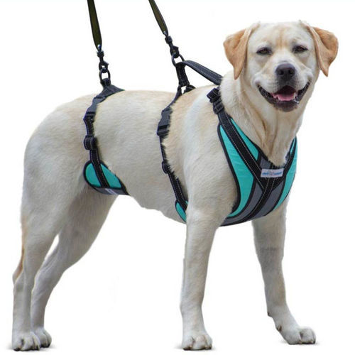 Arnés de marcha - Walkin’ Lift-n-Step - Walkin' Pets - para perros