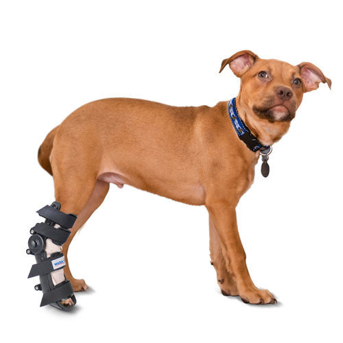 Férula veterinaria de patas - Walkin’ Fit - Walkin' Pets - para tobillo / tarso / para muñeca