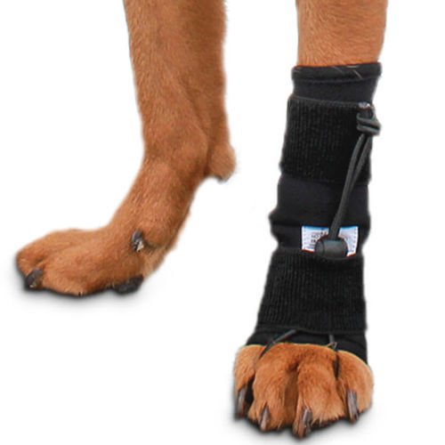 Férula veterinaria de patas - Front No-Knuckling - Walkin' Pets - para perro