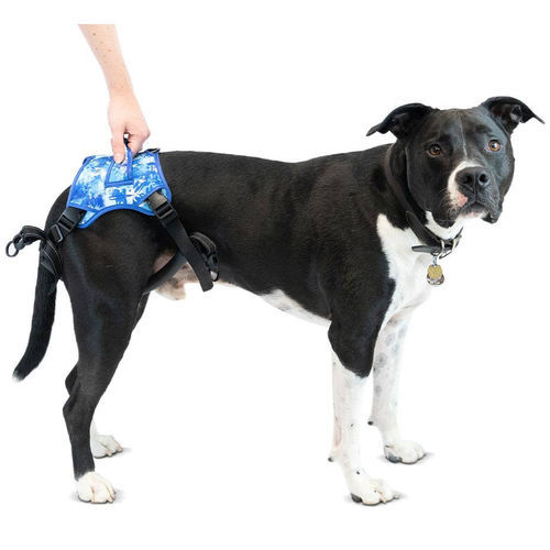 Arnés de rehabilitación - Buddy Up™ - Walkin' Pets - de pierna / para perros