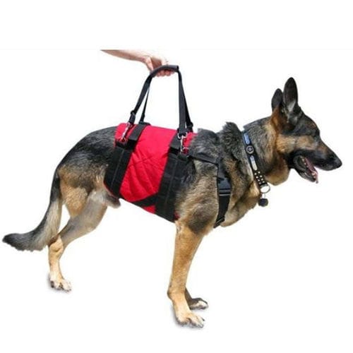 Arnés veterinario - Walkin' Pets - para perros