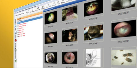 Software de visualización - VetScope - Otopet USA - de adquisición / de archivo / de intercambio