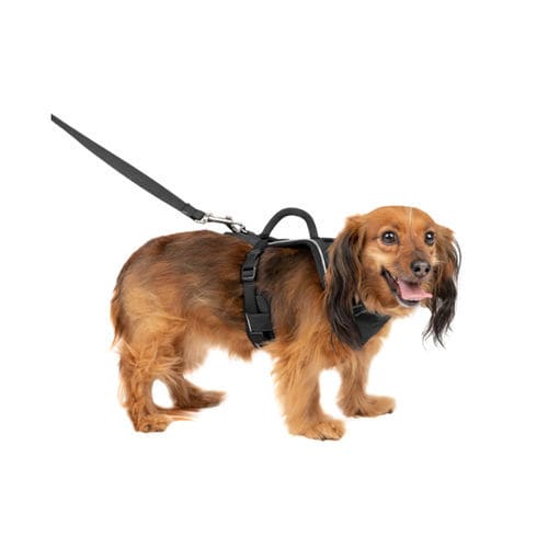 Arnés de marcha - EasySport™ - PetSafe - veterinario / para perros